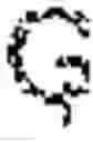 Fig. 34 - Image local contrast enhancement method