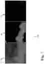 Fig. 08 - Synthesizing training data for broad area geospatial object detection