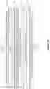 Fig. 09 - DUAL FUNCTION PAYMENT CARD FOR IMPLEMENTING A 