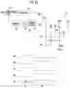 Fig. 08 - Organic light emitting display device capable of compensating for deviation and deterioration in pixel