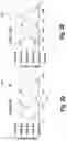 Fig. 04 - HIGH DENSITY NEGATIVE DIFFERENTIAL RESISTANCE BASED MEMORY