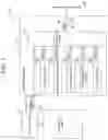 Fig. 02 - Semiconductor device