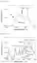 Fig. 08 - Polymer electrolyte and preparation method therefor