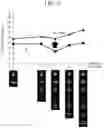 Fig. 07 - Optical fiber and optical transmission system