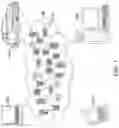 Fig. 02 - Ergonomic position detector