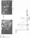 Fig. 06 - Imaging device and focus adjustment method using an index representing bokeh state
