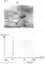 Fig. 07 - Imaging device and focus adjustment method using an index representing bokeh state