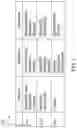Fig. 08 - Spatial audio for interactive audio environments