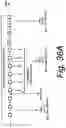 Fig. 35 - Apparatus and method for acquisition of system information in wireless communications