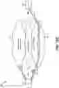 Fig. 28 - Next generation to VoLTE fallback for voice calls
