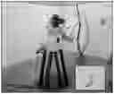 Fig. 01 - Selective automated blossom thinning
