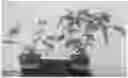 Fig. 01 - METHOD OF PRODUCING PATHOGEN-FREE CANNABIS PLANTS AND PATHOGEN-FREE PLANTS AND CLONES PRODUCED THEREFROM