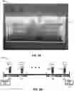 Fig. 05 - METHOD OF PRODUCING PATHOGEN-FREE CANNABIS PLANTS AND PATHOGEN-FREE PLANTS AND CLONES PRODUCED THEREFROM