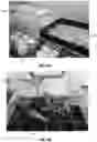 Fig. 10 - METHOD OF PRODUCING PATHOGEN-FREE CANNABIS PLANTS AND PATHOGEN-FREE PLANTS AND CLONES PRODUCED THEREFROM