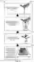 Fig. 12 - METHOD OF PRODUCING PATHOGEN-FREE CANNABIS PLANTS AND PATHOGEN-FREE PLANTS AND CLONES PRODUCED THEREFROM