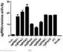 Fig. 02 - Genetically modified mice expressing humanized PD-1