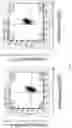 Fig. 06 - Genetically modified mice expressing humanized PD-1