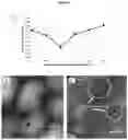 Fig. 07 - FOAMING AND EMULSIFYING PROPERTIES OF HIGH PRESSURE JET PROCESSING PASTEURIZED MILK