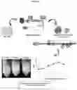 Fig. 09 - FOAMING AND EMULSIFYING PROPERTIES OF HIGH PRESSURE JET PROCESSING PASTEURIZED MILK