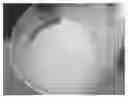 Fig. 01 - Antifreeze solution for food preservation