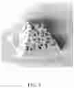 Fig. 06 - SOLID POPCORN KERNEL-CONTAINING COMPOSITIONS