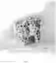 Fig. 08 - SOLID POPCORN KERNEL-CONTAINING COMPOSITIONS