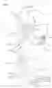 Fig. 02 - Device for experientially dispensing a cosmetic product