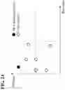 Fig. 22 - BLOOD PRESSURE MEASUREMENT APPARATUS, METHOD, AND PROGRAM