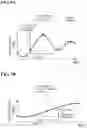 Fig. 09 - BLOOD PRESSURE MEASUREMENT APPARATUS, METHOD, AND PROGRAM