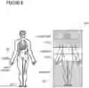 Fig. 07 - Method and system for determining tumor burden in medical images