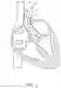 Fig. 02 - Suturing devices and methods for suturing an anatomic valve