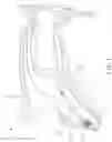 Fig. 02 - Adjustable neck brace
