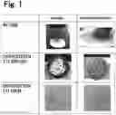 Fig. 02 - Cosmetic including liquid cosmetic impregnated into impregnated body