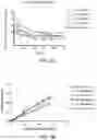 Fig. 06 - PROCESS FOR FORMING MICROBUBBLES WITH HIGH OXYGEN CONTENT AND USES THEREOF