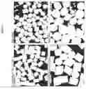 Fig. 03 - Acrylic Polymer Formulations