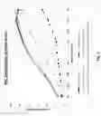 Fig. 02 - Compositions and methods for the treatment of hemoglobinopathies and thalassemias
