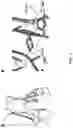 Fig. 02 - METHODS OF INHIBITING CISD PROTEIN-PLP COMPLEX FORMATION