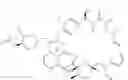 Fig. 136 - Rapamycin analogs and uses thereof