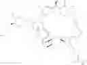 Fig. 216 - Rapamycin analogs and uses thereof