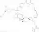 Fig. 236 - Rapamycin analogs and uses thereof