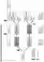Fig. 09 - A Pharmaceutical Composition Comprising An Oxazine Derivative And Its Use In The Treatment Or Prevention Of Alzheimer's Disease