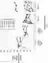 Fig. 02 - COMPOSITIONS AND METHODS FOR TREATING BONE AND JOINT INFECTIONS