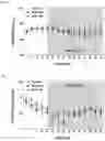 Fig. 02 - Pharmaceutical composition comprising quercetin-3-O-β-D-xylopyranoside for preventing or treating liver disease
