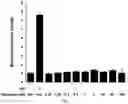 Fig. 02 - NEW THERAPEUTIC USES