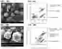 Fig. 45 - ENCAPSULATED DIAGNOSTICS AND THERAPEUTICS IN NANOPARTICLES - CONJUGATED TO TROPIC CELLS AND METHODS FOR THEIR USE