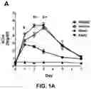 Fig. 02 - COMPOSITIONS AND METHODS FOR THE TREATMENT OR PROPHYLAXIS OF A PERFUSION DISORDER