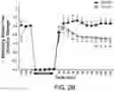 Fig. 08 - COMPOSITIONS AND METHODS FOR THE TREATMENT OR PROPHYLAXIS OF A PERFUSION DISORDER