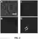 Fig. 09 - COMPOSITIONS AND METHODS FOR THE TREATMENT OR PROPHYLAXIS OF A PERFUSION DISORDER