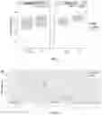 Fig. 03 - Compositions and methods for detecting and treating brain injury associated fatigue and altered cognition (BIAFAC)