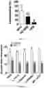 Fig. 03 - Methods of enhancing the potency of incretin-based drugs in subjects in need thereof